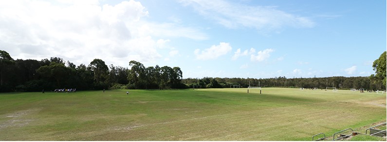 field.jpg
