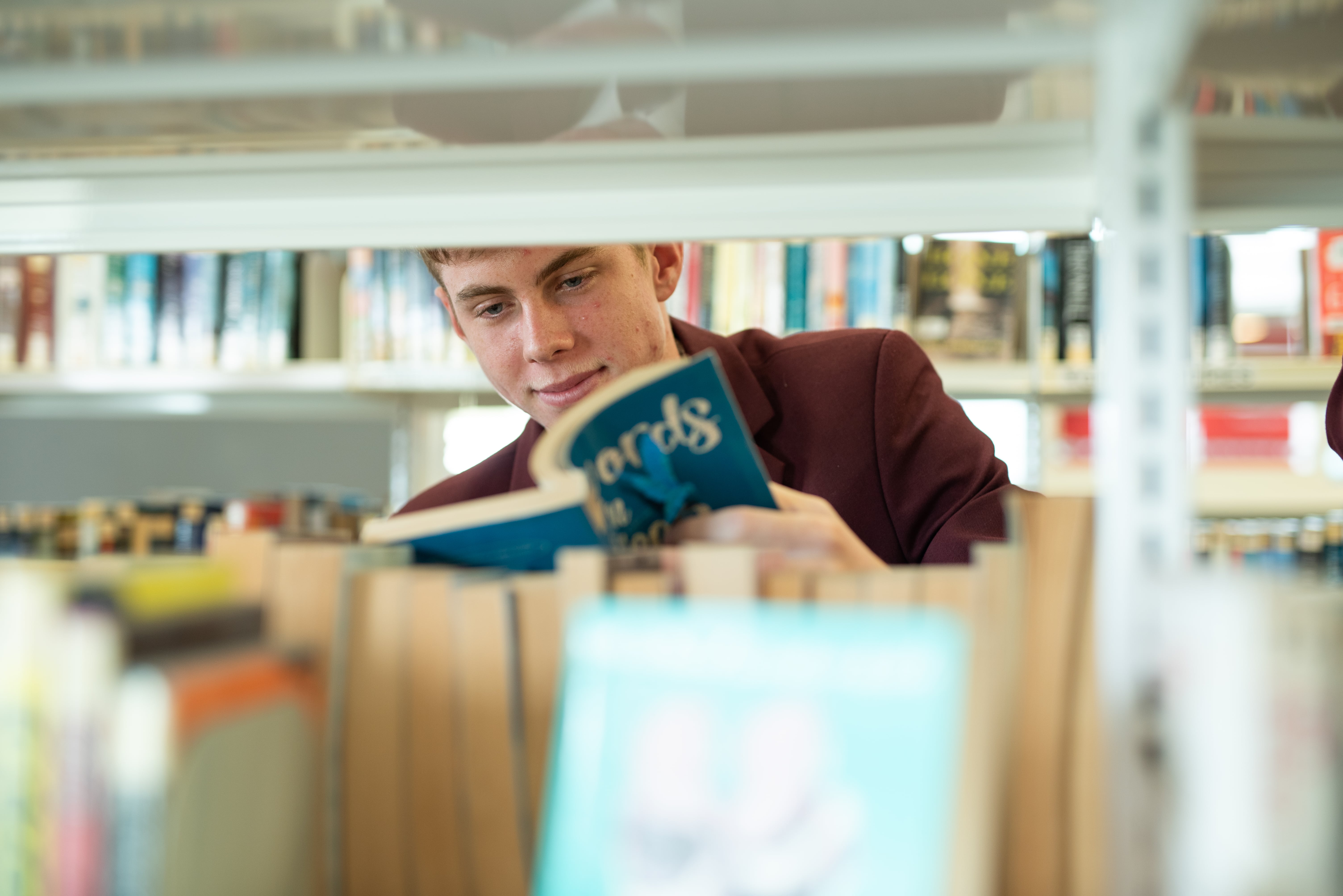 Student selecting and reading a book from library shelves in a school library setting